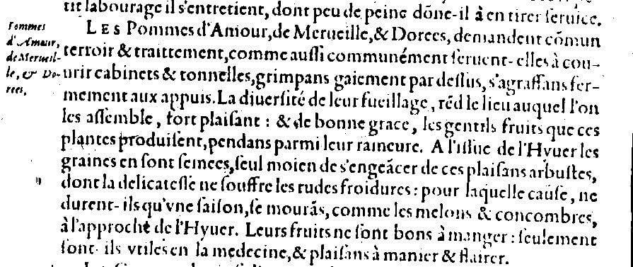 Txt Olivier de Serres tomate